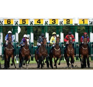 Enjoy Online Horse Racing Betting in Malaysia at GDBET333: A Thrilling Experience Awaits!
